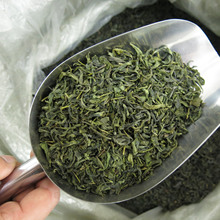 绿茶2025年新茶源产地厂家现货批发耐泡中低端香茶头茶片散装炒青