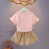 Set, children's summer clothing for leisure, short sleeve T-shirt, trousers, western style