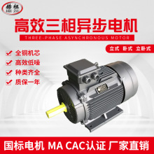 �S���N�� ���� YX3/Y2ϵ�� ���ஐ��늙C�V���O����380v50hz