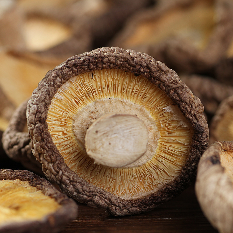 Yunnan Mushroom Dried Goods 500g Alpine Head Stubble Thick Mushroom New Goods Dried Mushroom Log Fragrant Mushroom