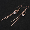 Trend fashionable long earrings stainless steel with tassels, Korean style, internet celebrity