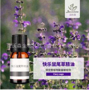 �옷��β�ݾ���Clary Sage oil���s��ȡ��β���͆η�����