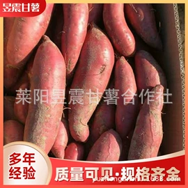 番薯类;瓜果类;速冻果蔬类