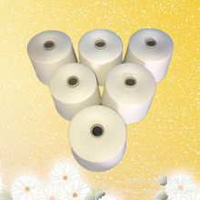 ���漆 C45/A55(���w��]��30֧2�� ���漆30֧ᘿ�ë����