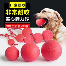 狗狗玩具;戏水玩具;狗狗食具