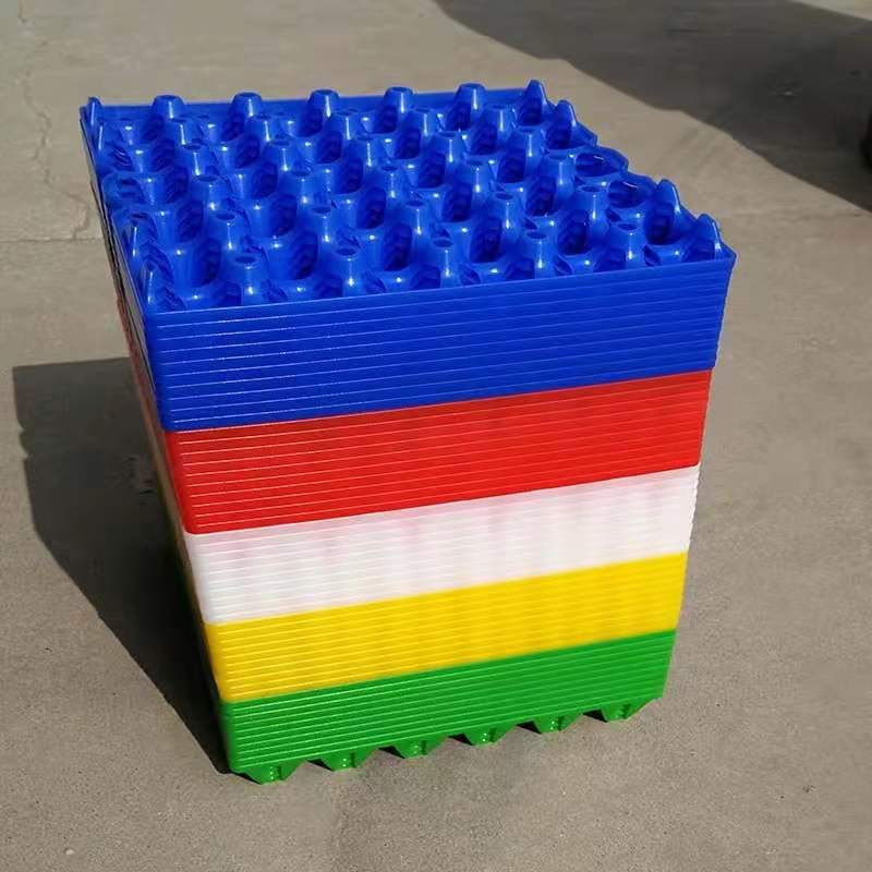 厂家供应  30枚彩色塑料鸡蛋托盘   孵化盘   塑料鸡蛋盒