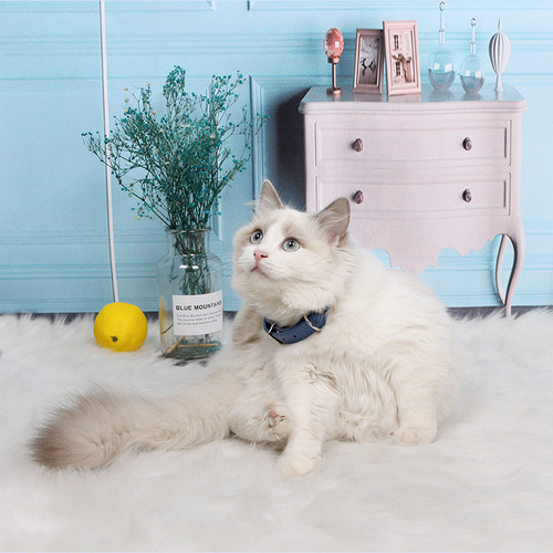 PSM factory direct selling pet products PU leather adjustable collars many types of dog and cat collars dropshipping
