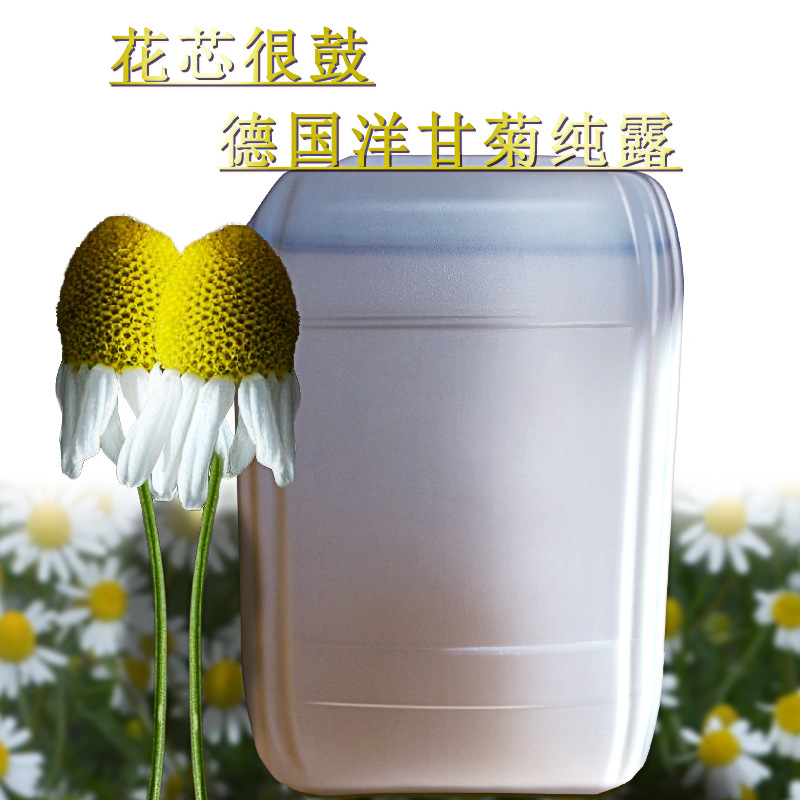 新疆德国洋甘菊纯露 香料原产地洋甘菊爽肤水洋甘菊水洋甘菊纯露