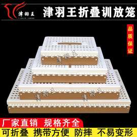 津羽王信鸽赛鸽笼 鸽子ABS塑料折叠训放笼放飞笼报道笼大号集鸽笼
