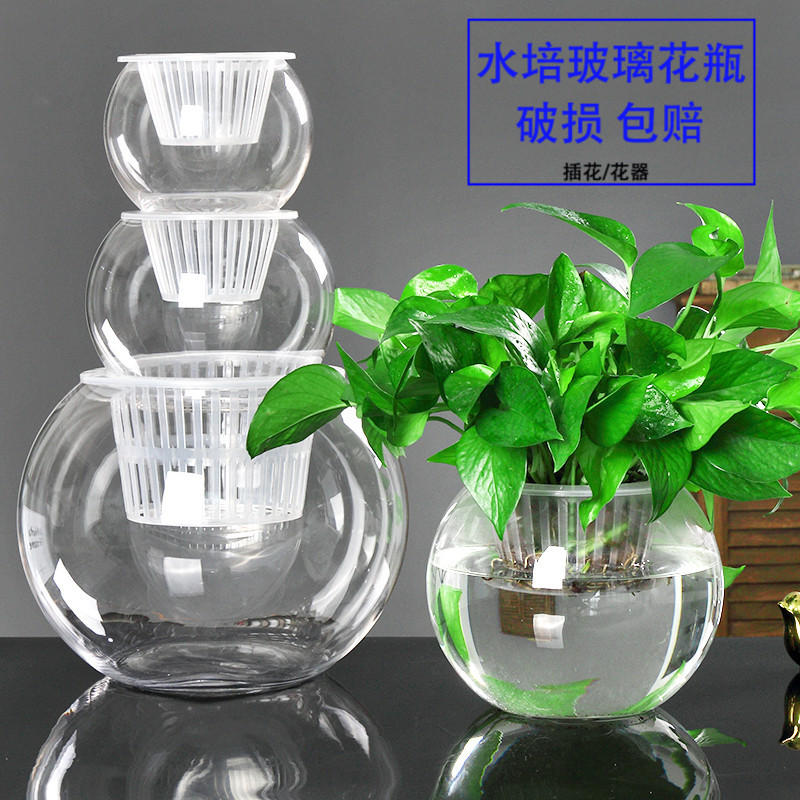 水培植物透明玻璃花瓶简约水养绿萝盆栽花盆圆球形小鱼缸器皿容器