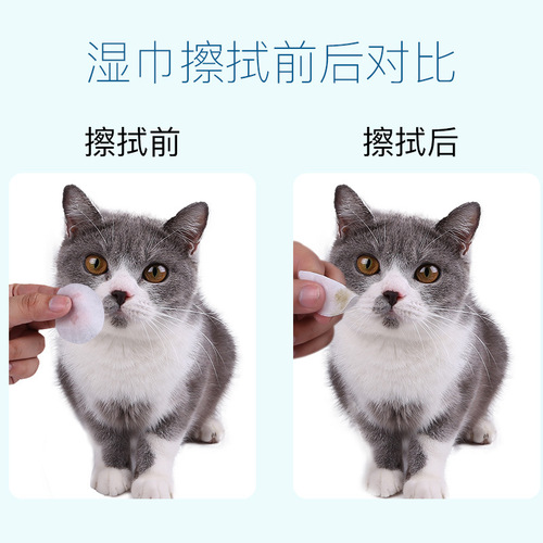 Pet wipes wholesale Internet celebrity cat wet wipes 100 pieces dog wipes cleaning supplies dropshipping