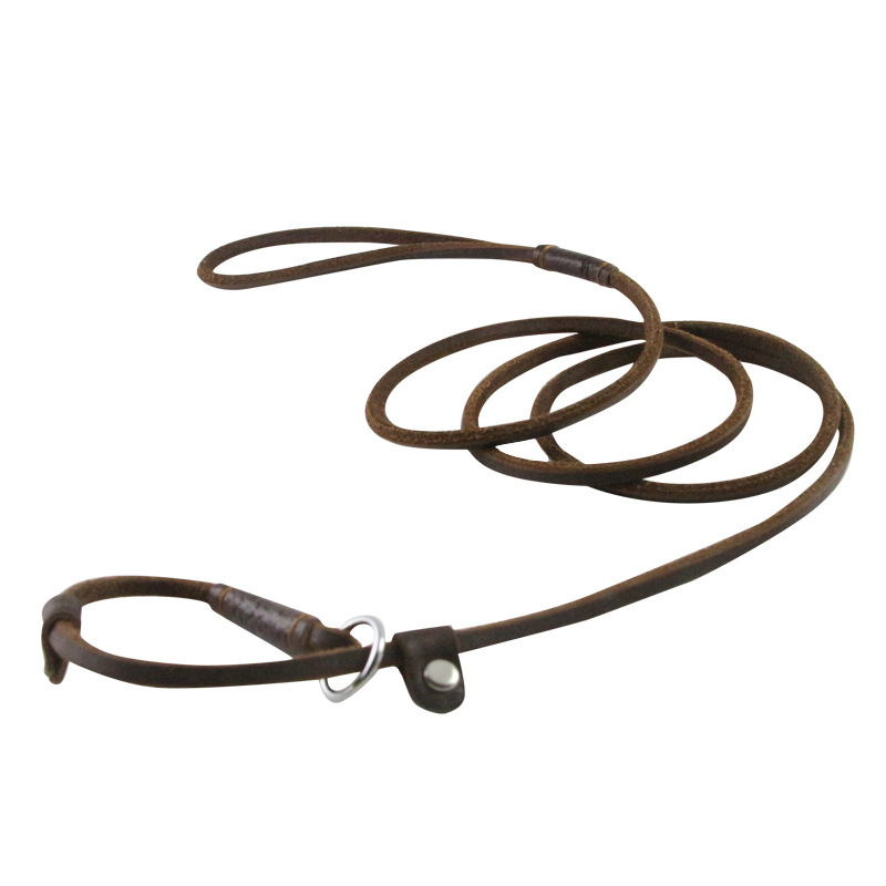 Stylish dog collar