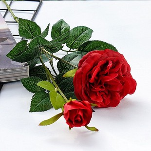 ���滨õ�� ĥë��2�^·��˹��ĵ��õ��ٻ��ҾӔ[�Ż�c�b���
