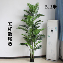 �F؛���W����ɢβ�����Pβ�����Է���ֲ��ٻ��������҃��b[�O