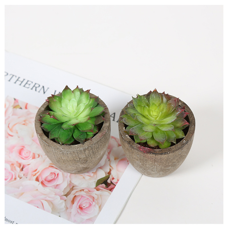 Transfronteriza dedicada simulación pulpa suculenta pequeña simulación de bonsai en maceta fabricantes de plantas suculentas pueden producir según sea necesario