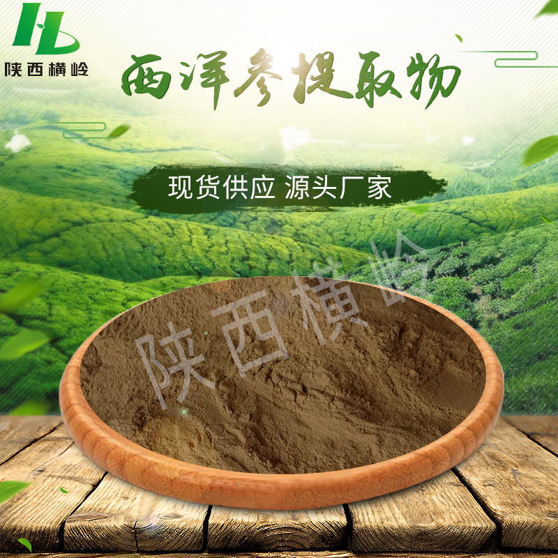 80%含量西洋参皂甙  西洋参提取物 多包装西洋参皂甙粉 500g/袋