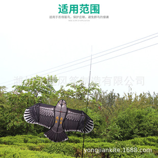 �H�������r�Ç��B�����L�~���L�����r��ˈ@���@��B���s�B�L�~