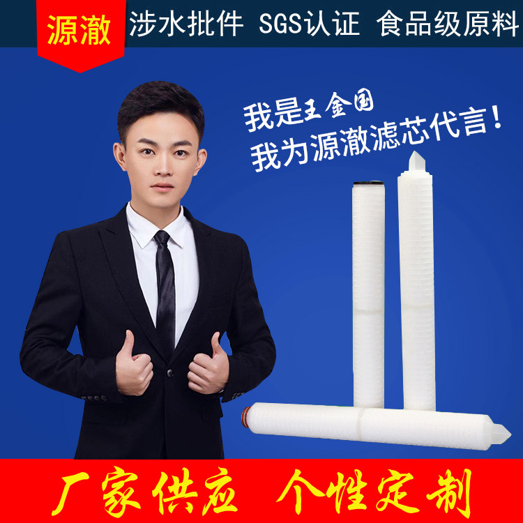 现货批发微孔折叠滤芯0.22微米0.1微米0.45微米PP微孔折叠滤芯