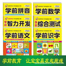 幼小衔接入学准备金方案学前班幼儿园练习册智力开发综合能力测试