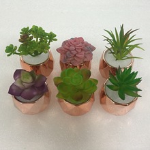 ¿OӋֲ辰õմԼ̨b[žGֲ