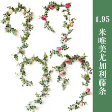 ���R�d�ȼ���õ�廨�� ��c�Ҿ��b�����ĵ���軨���X�~���滨��