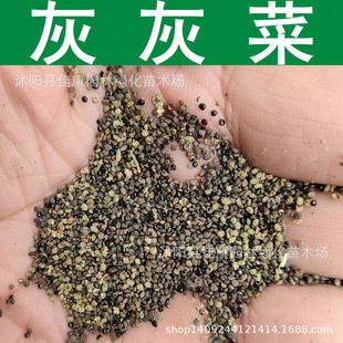 �һҲ˷N�� ޼ Ұ�Ҳ˷N�� ��ޤ�^�� 1��=1��