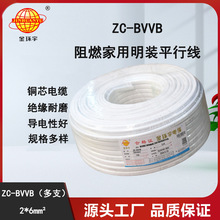 ��h����| ��ȼ���b��ƽ�о� 2о�o�׾�ZC-BVVB 2X6ƽ��