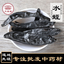 中药材水蛭批发散装新货蚂蝗无硫清水吊干免费磨粉产地货源可代发