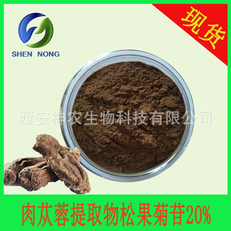 松果菊苷20%  海胆苷20% 松果菊甙 肉苁蓉提取物 CAS：82854-37-3