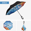 Transport, double-layer umbrella, custom made
