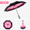 Transport, double-layer umbrella, custom made