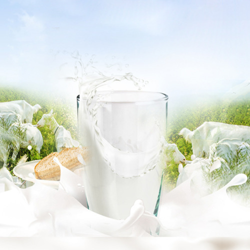 Factory goods Tong Inner Mongolia pure goat milk powder 400g no added sugar children, women, pregnant women, students breakfast milk powder