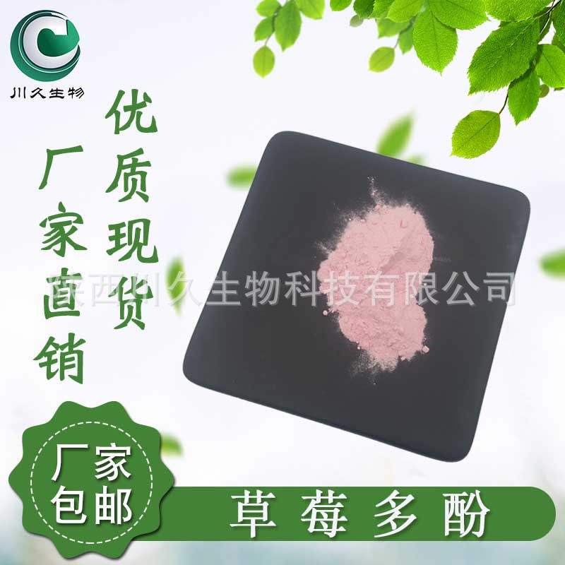 现货 草莓多酚 川久生物 草莓提取物 草莓多糖 多规格 供应草莓粉