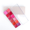 Lipstick, multicoloured face blush, matte nutritious handheld lip gloss suitable for photo sessions, 12 colors, optics