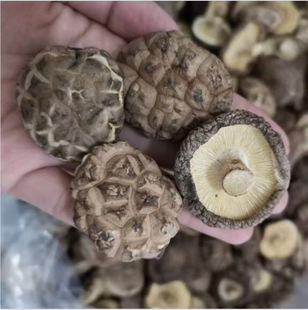 �ϱ���؛�㹽�ɻ��� �㹽��؛�����r�aƷɢ�b3-4�������l