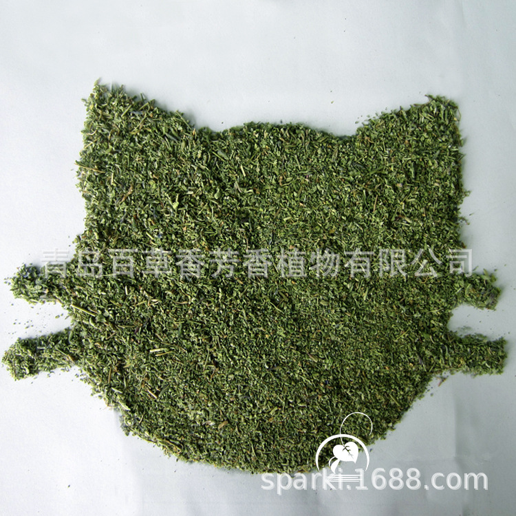 宠物零食猫薄荷叶子猫草纯叶子粉末花蕾2023新货可填充猫玩具直销