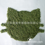 2025 新货猫薄荷纯叶粉 花蕾干叶填充猫玩具原料 厂家直销批发