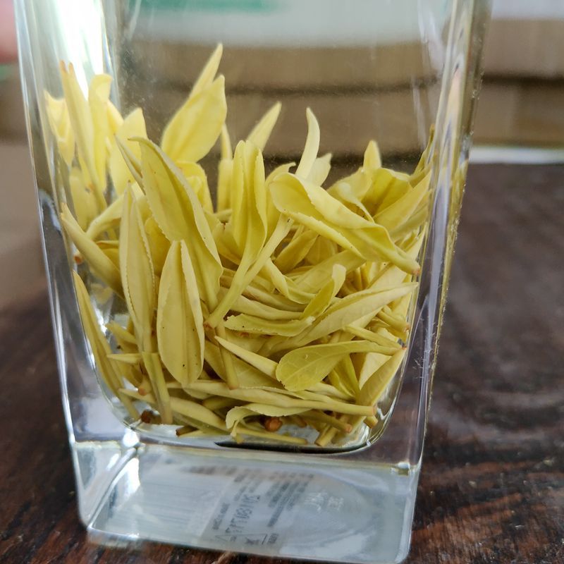 250克半斤裝新茶春茶明前安吉黃金芽茶黃金葉 黃茶黃金白茶