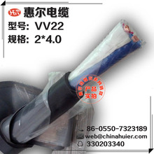 VV22 2*4.0mm2 �~о�����| ���Sֱ�N