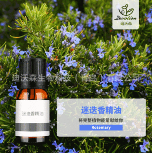 ���ʹ��Ե��㾫��Rosemary CT cineole�Ե����~�͆η��o�w����