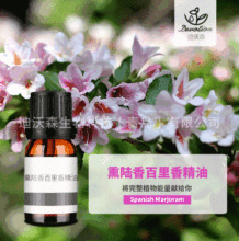 Ѭ㾫Thymus mastichinaͰĦow