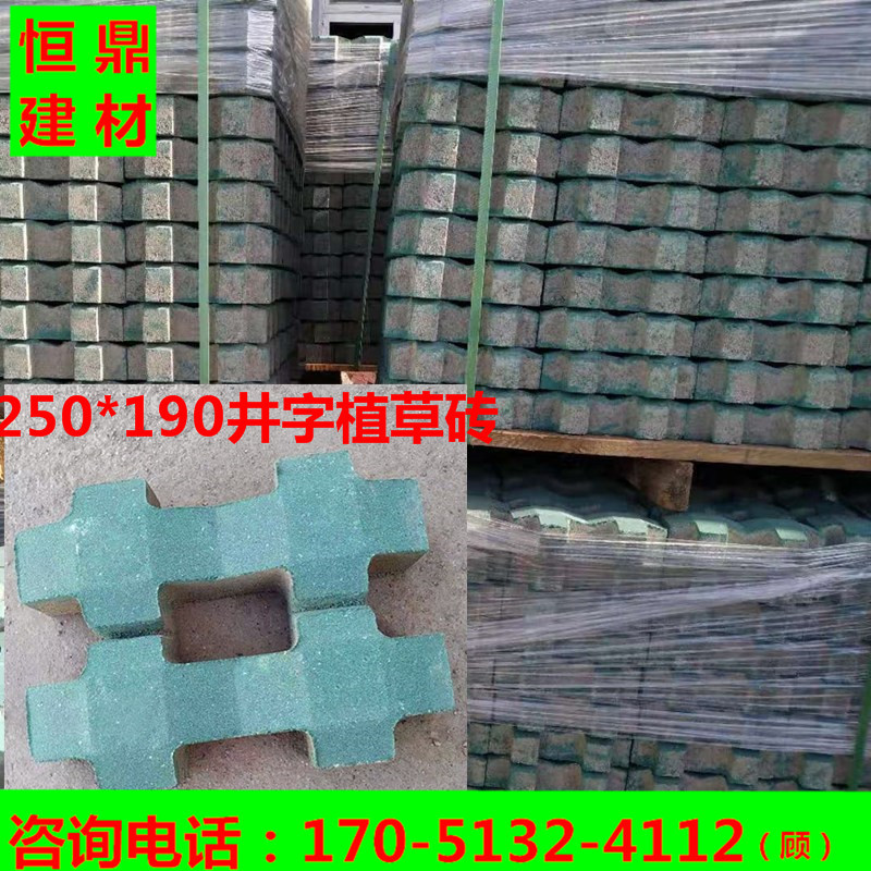 厂家供应植草砖停车场250*190*60 绿色草坪砖 井字砖井字型植草砖
