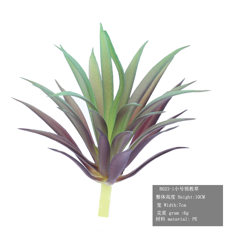 B023-1 스몰 사이즈 잔디 가르치기