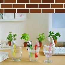 创意摆件(4款渴渴吸里)吸水小植栽 办公室桌面 创意绿色植物盆栽