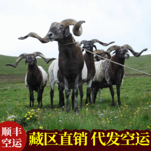 �W���� �S���� �ؾd�� ���ϸʼ������� �ຣ���Ͽh�W�����r��