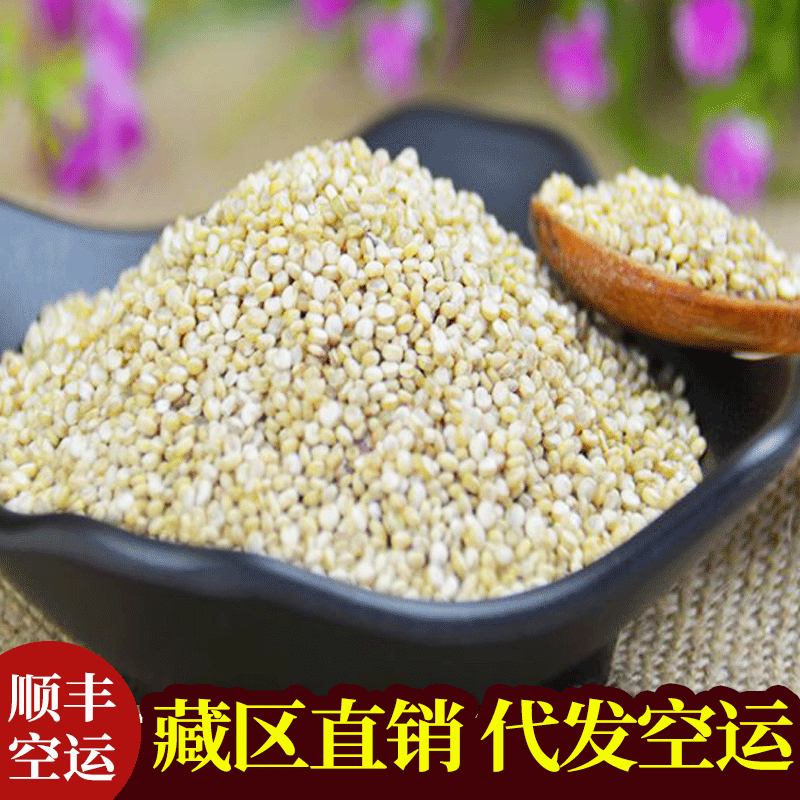 批发藜麦高原藜麦 白藜麦 青海三色黎麦 500克 真空包装藜麦