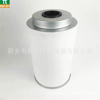 供应 3002608700 精油分离器油气分离器分离芯 油水分离器油分芯