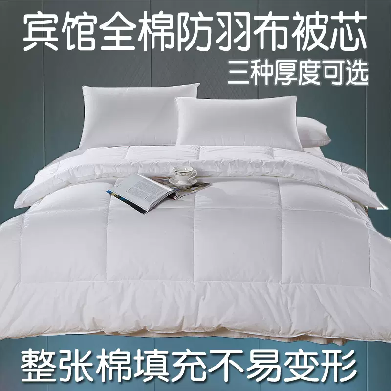 宾馆酒店九孔被冬被丝棉被全棉防羽布被子被芯被双人空调夏被