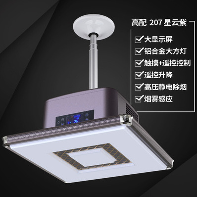 보라색(리모컨으로 구멍을 뚫을 필요 없음) 리모컨이 있는 고구성 고전압 정전기