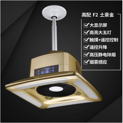 골드 하이라이트, 큰 5개의 조명, 큰 흡입력